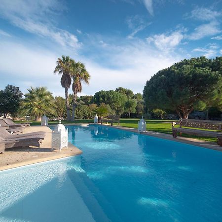Escapades Lointaines Bed and Breakfast Perpignan Eksteriør billede