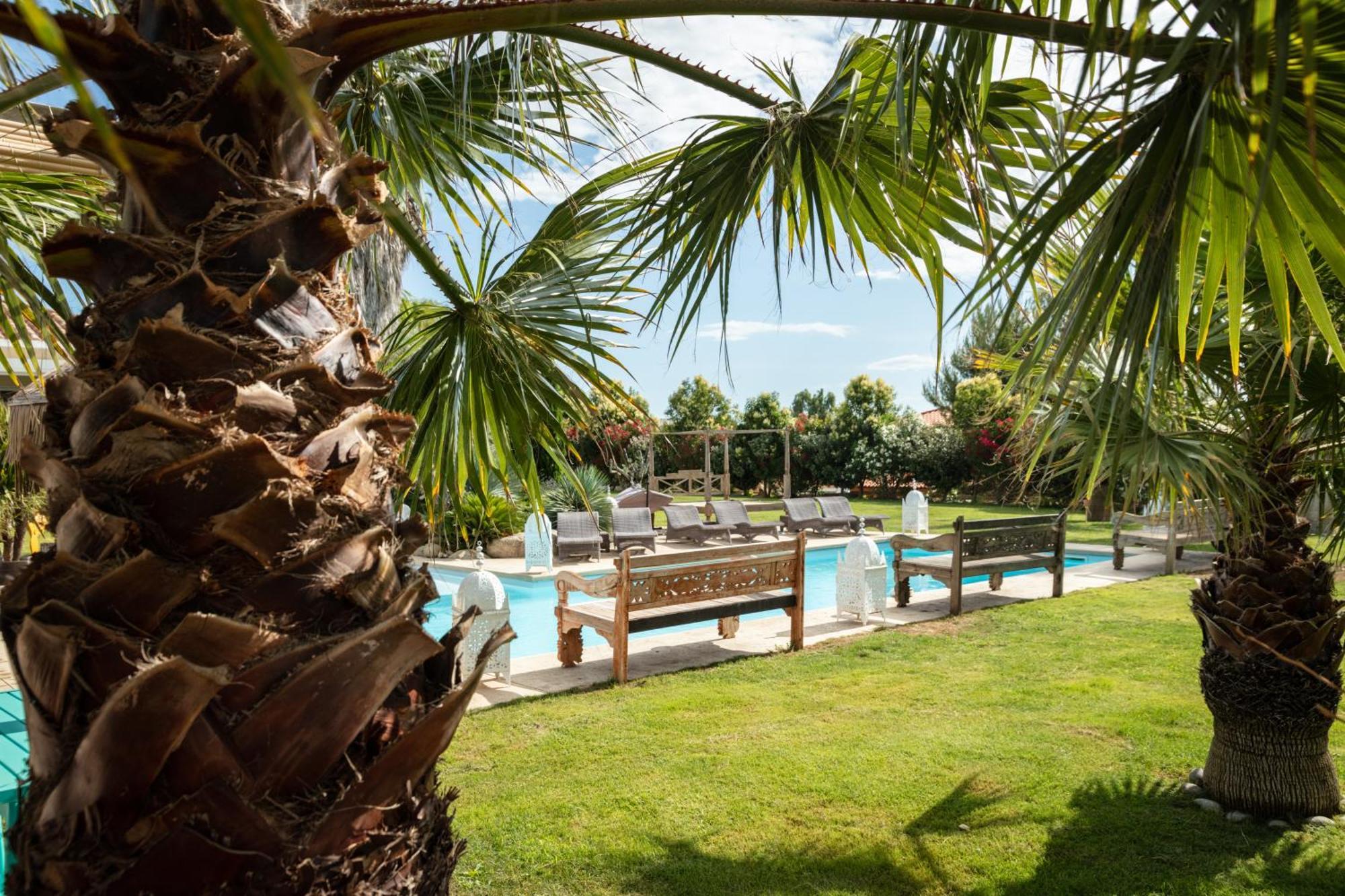 Escapades Lointaines Bed and Breakfast Perpignan Eksteriør billede
