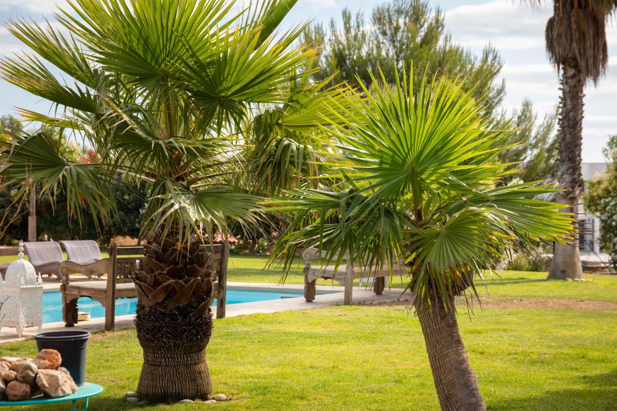 Escapades Lointaines Bed and Breakfast Perpignan Eksteriør billede