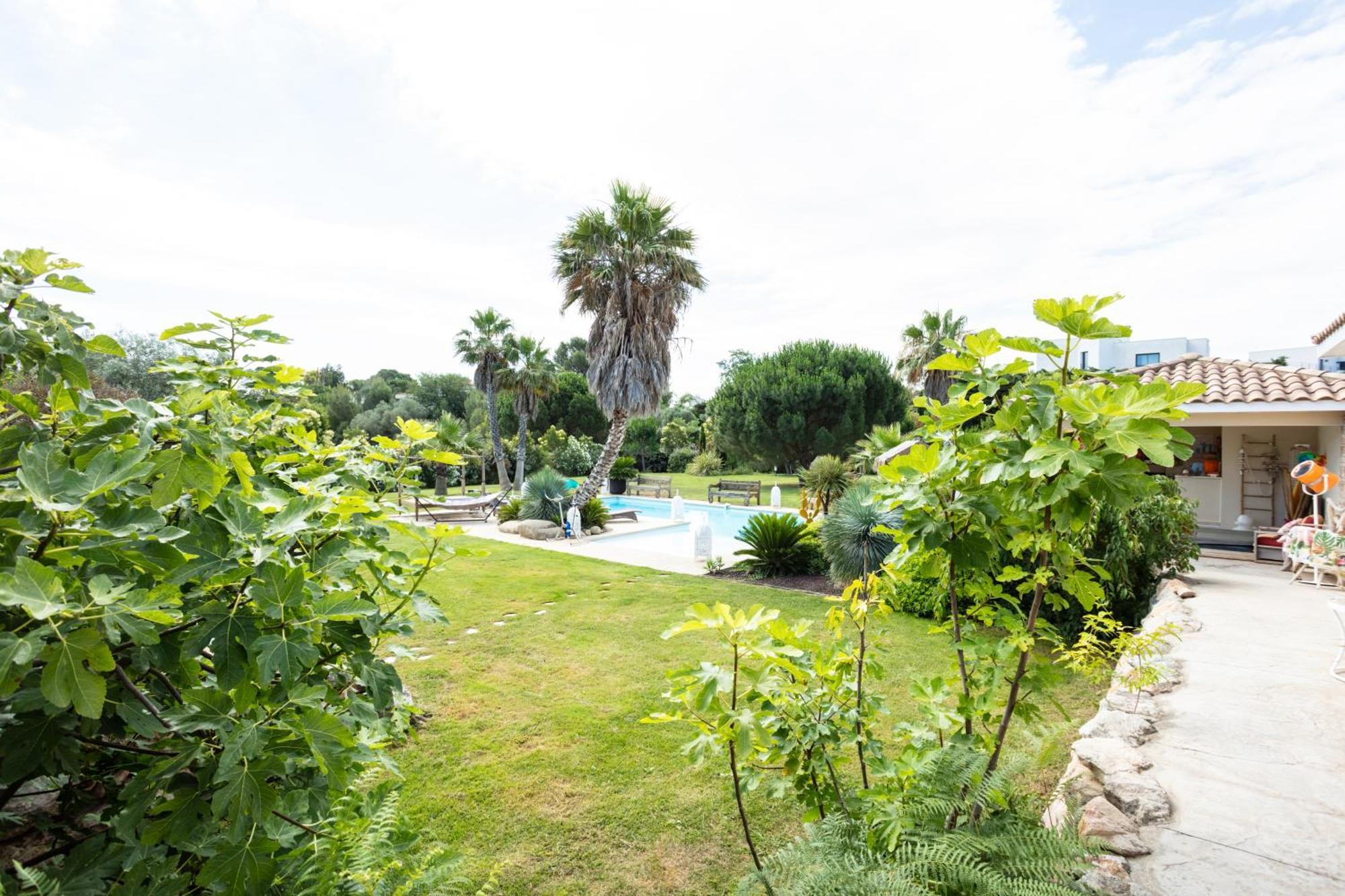 Escapades Lointaines Bed and Breakfast Perpignan Eksteriør billede